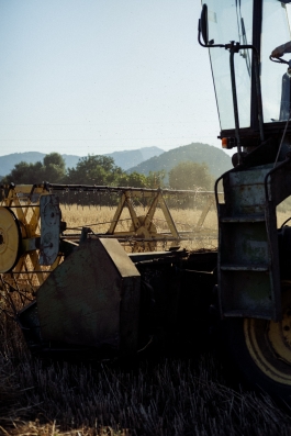 CAROLIN UNRATH PHOTOGRAPHY