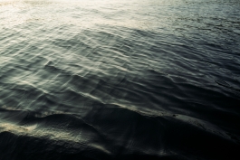 CAROLIN UNRATH PHOTOGRAPHY