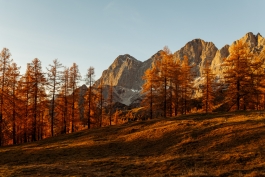 CAROLIN UNRATH PHOTOGRAPHY