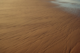 CAROLIN UNRATH PHOTOGRAPHY