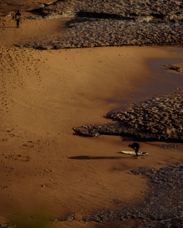 CAROLIN UNRATH PHOTOGRAPHY