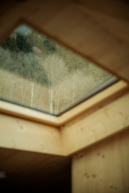 CAROLIN UNRATH PHOTOGRAPHY