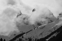 CAROLIN UNRATH PHOTOGRAPHY