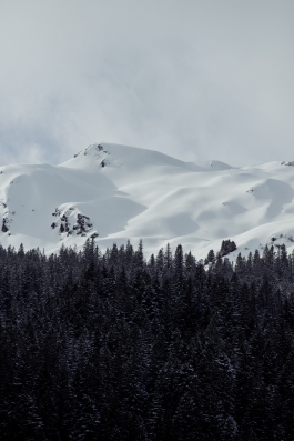 CAROLIN UNRATH PHOTOGRAPHY