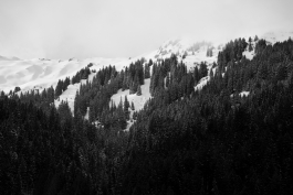 CAROLIN UNRATH PHOTOGRAPHY