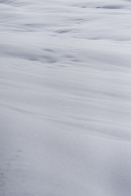 CAROLIN UNRATH PHOTOGRAPHY