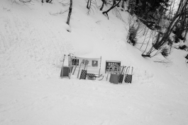 CAROLIN UNRATH PHOTOGRAPHY