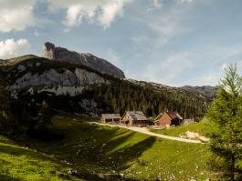 CAROLIN UNRATH PHOTOGRAPHY