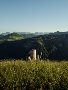 CAROLIN UNRATH PHOTOGRAPHY