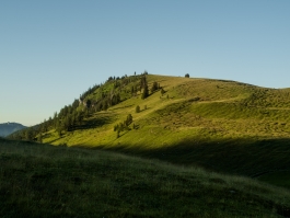 CAROLIN UNRATH PHOTOGRAPHY