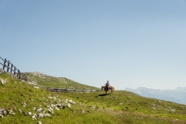 CAROLIN UNRATH PHOTOGRAPHY