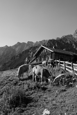 CAROLIN UNRATH PHOTOGRAPHY