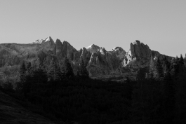 CAROLIN UNRATH PHOTOGRAPHY