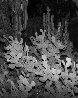 CAROLIN UNRATH PHOTOGRAPHY