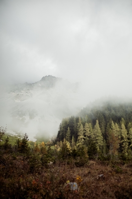 CAROLIN UNRATH PHOTOGRAPHY