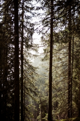 CAROLIN UNRATH PHOTOGRAPHY