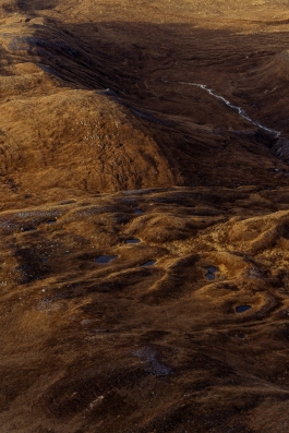 CAROLIN UNRATH PHOTOGRAPHY