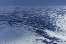 CAROLIN UNRATH PHOTOGRAPHY