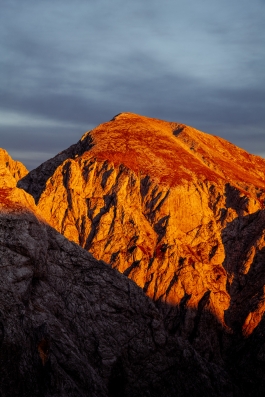 CAROLIN UNRATH PHOTOGRAPHY