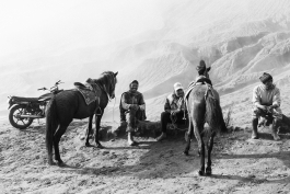 CAROLIN UNRATH PHOTOGRAPHY