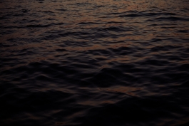 CAROLIN UNRATH PHOTOGRAPHY