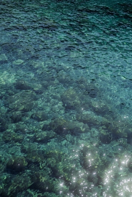 CAROLIN UNRATH PHOTOGRAPHY