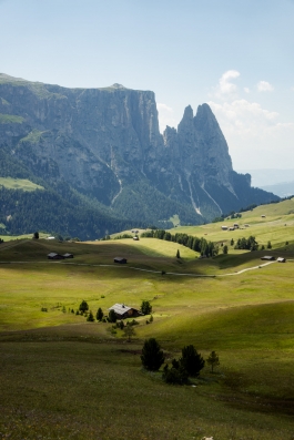 CAROLIN UNRATH PHOTOGRAPHY