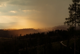 CAROLIN UNRATH PHOTOGRAPHY