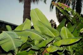 CAROLIN UNRATH PHOTOGRAPHY