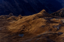 CAROLIN UNRATH PHOTOGRAPHY