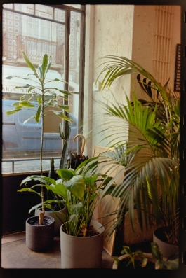 CAROLIN UNRATH PHOTOGRAPHY