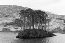 CAROLIN UNRATH PHOTOGRAPHY