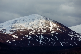 CAROLIN UNRATH PHOTOGRAPHY