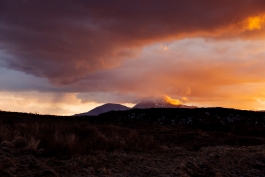 CAROLIN UNRATH PHOTOGRAPHY