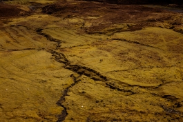 CAROLIN UNRATH PHOTOGRAPHY