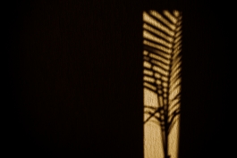 CAROLIN UNRATH PHOTOGRAPHY