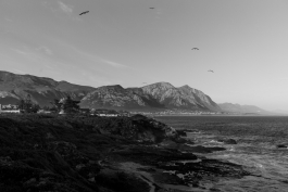 CAROLIN UNRATH PHOTOGRAPHY