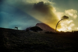 CAROLIN UNRATH PHOTOGRAPHY