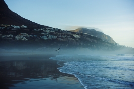 CAROLIN UNRATH PHOTOGRAPHY