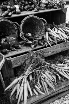 CAROLIN UNRATH PHOTOGRAPHY