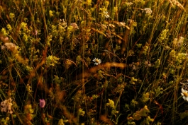 CAROLIN UNRATH PHOTOGRAPHY