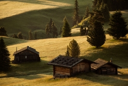 CAROLIN UNRATH PHOTOGRAPHY