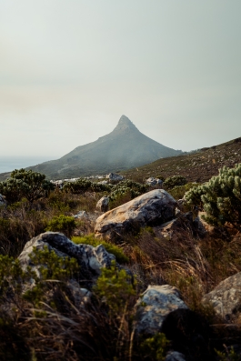 CAROLIN UNRATH PHOTOGRAPHY