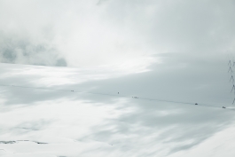 CAROLIN UNRATH PHOTOGRAPHY