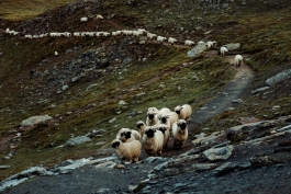 CAROLIN UNRATH PHOTOGRAPHY