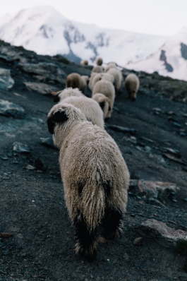 CAROLIN UNRATH PHOTOGRAPHY