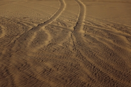 CAROLIN UNRATH PHOTOGRAPHY