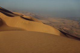 CAROLIN UNRATH PHOTOGRAPHY