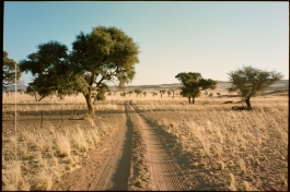 CAROLIN UNRATH PHOTOGRAPHY