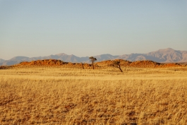 CAROLIN UNRATH PHOTOGRAPHY